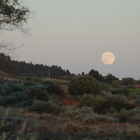 וילה פלור Casa Dos Lagares De Vara E Pedra מראה חיצוני תמונה