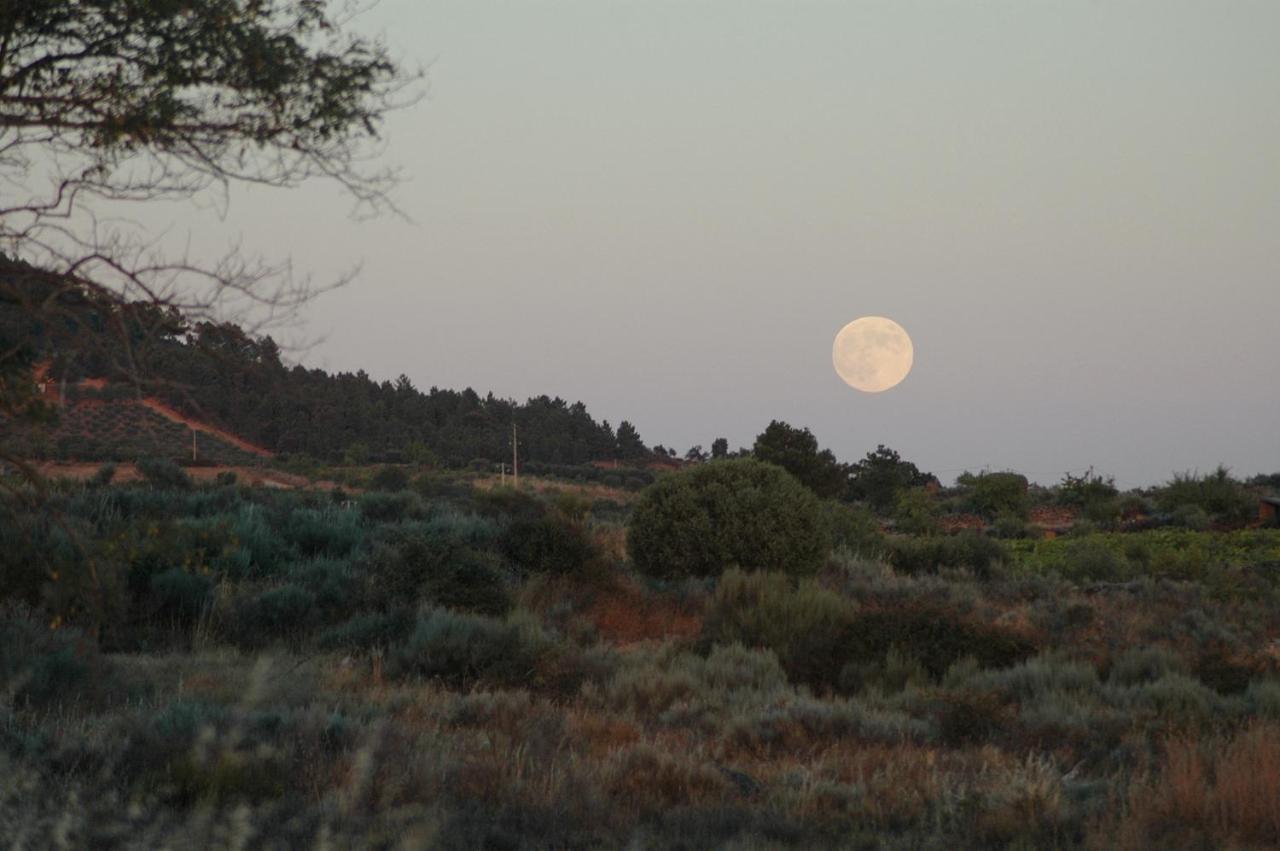 וילה פלור Casa Dos Lagares De Vara E Pedra מראה חיצוני תמונה