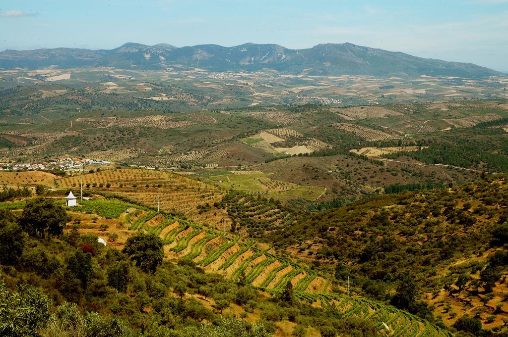 וילה פלור Casa Dos Lagares De Vara E Pedra מראה חיצוני תמונה